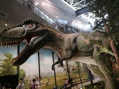 -湖南省地质博物馆