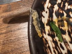 -Apollo·西班牙小酒馆(安福路店)