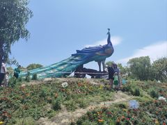 -苏州太湖西山岛开心农场