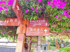 -南诏风情岛