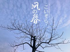 -北寺塔