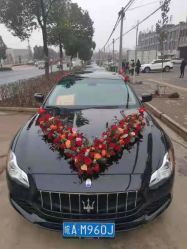 -蚂蚁婚车