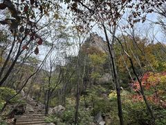 -大岭沟猕猴桃谷风景区