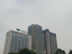 -绍兴上虞雷迪森云锦大酒店
