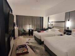 -新加坡乌节希尔顿酒店 (SG Clean)