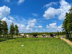 -春花秋色城市公园