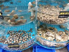 -北戴河集发农业梦想王国