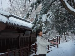 -少华山国家森林公园
