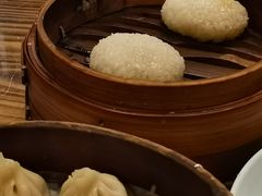 茨毛圆子-双塔老饭店