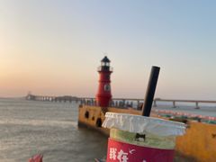 -南澳岛打卡果汁冰公司