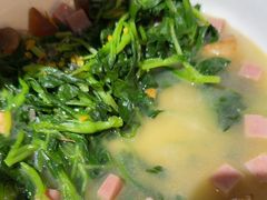 -金枝玉叶上海人家食府(三里河店)