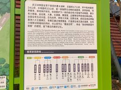 -武汉动物园