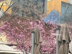 -中粮·祥云小镇