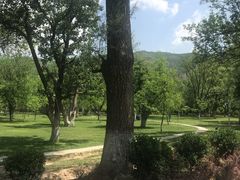 -延安杨家岭革命旧址