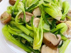 香菇油菜-林之六八·6886大连老菜馆