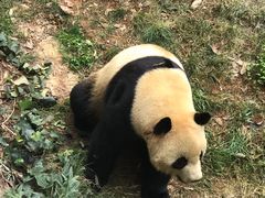 -云南野生动物园