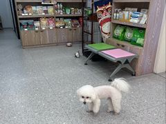 -四月宠物医院·猫专科·心脏专科·内科(转塘店)
