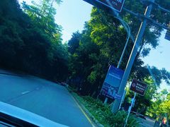 -深圳东部华侨城茵特拉根酒店
