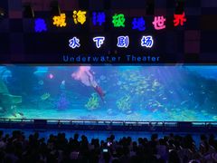 -泉城欧乐堡海洋极地世界