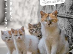 -万达广场(渭南高新店)