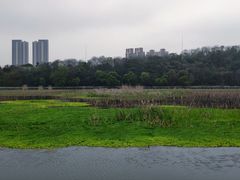 -月湖风景区