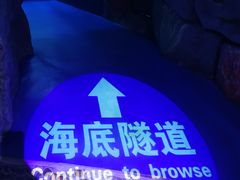 -左海海底世界