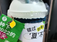 -茉酸奶(春熙路店)