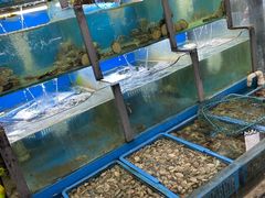 水产区-老东镇啤酒屋海鲜加工·蒸汽海鲜·海鲜烧烤(台东店)