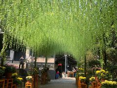 -张鸟园农家乐(张鸟园店)