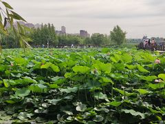 -前关湿地公园