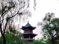 -迎泽公园