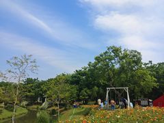 -鹅湖玫瑰文化园