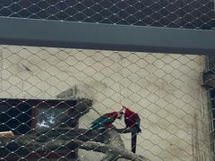 -南昌动物园