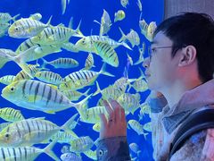 -成都浩海立方海洋公园