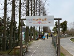 -前小桔亲子创意农场·草莓采摘·露营烧烤