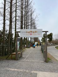 -前小桔亲子创意农场·草莓采摘·露营烧烤
