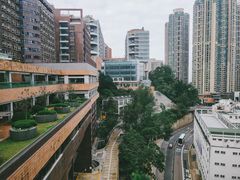 -香港大学