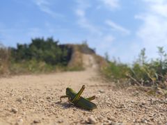 -蟠龙山长城景区