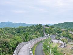 -黄贤森林公园