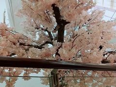 -汤里来温泉