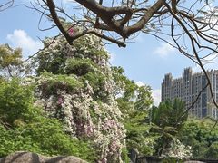 -深圳国际园林花卉博览园