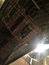 -未来动物城主题公园(正弘城店)