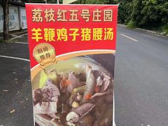 -荔枝红五号农庄