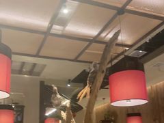 -老阿爸鲜鱼土菜(独墅湖店)