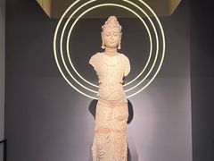 -四川大学博物馆