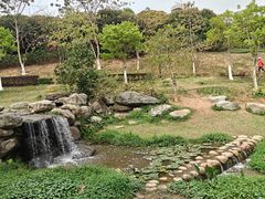 -东莞植物园