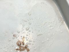 -钱小奴创意自助餐厅·山野黑猪肉畅吃(苏州昆山招商花园城店)