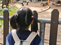 -深圳野生动物园