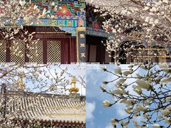 -护国法轮寺