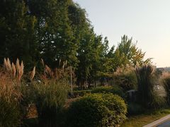 -郑州植物园
